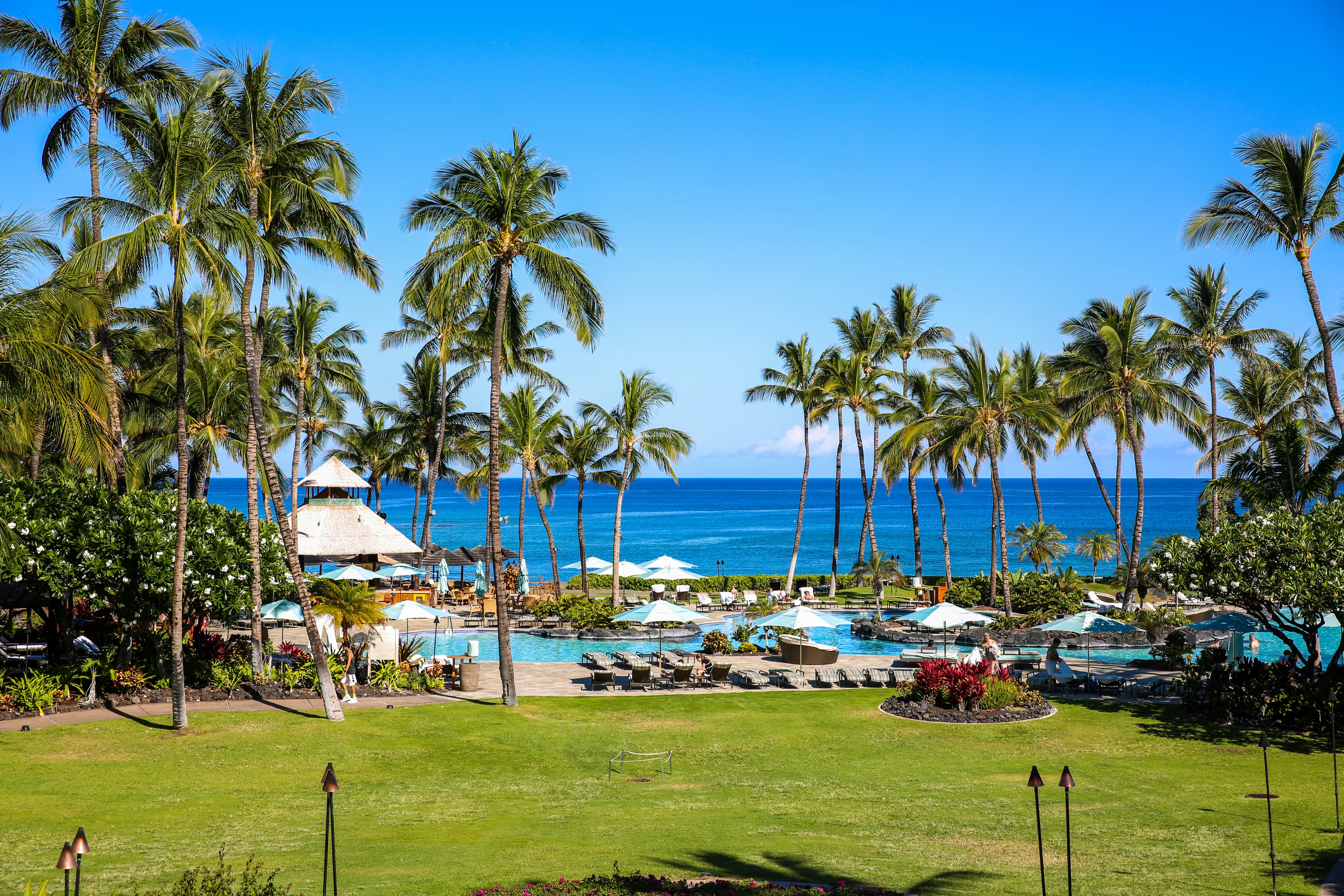 Palm-lined oceanfront resort pool and lawn on the Kohala Coast