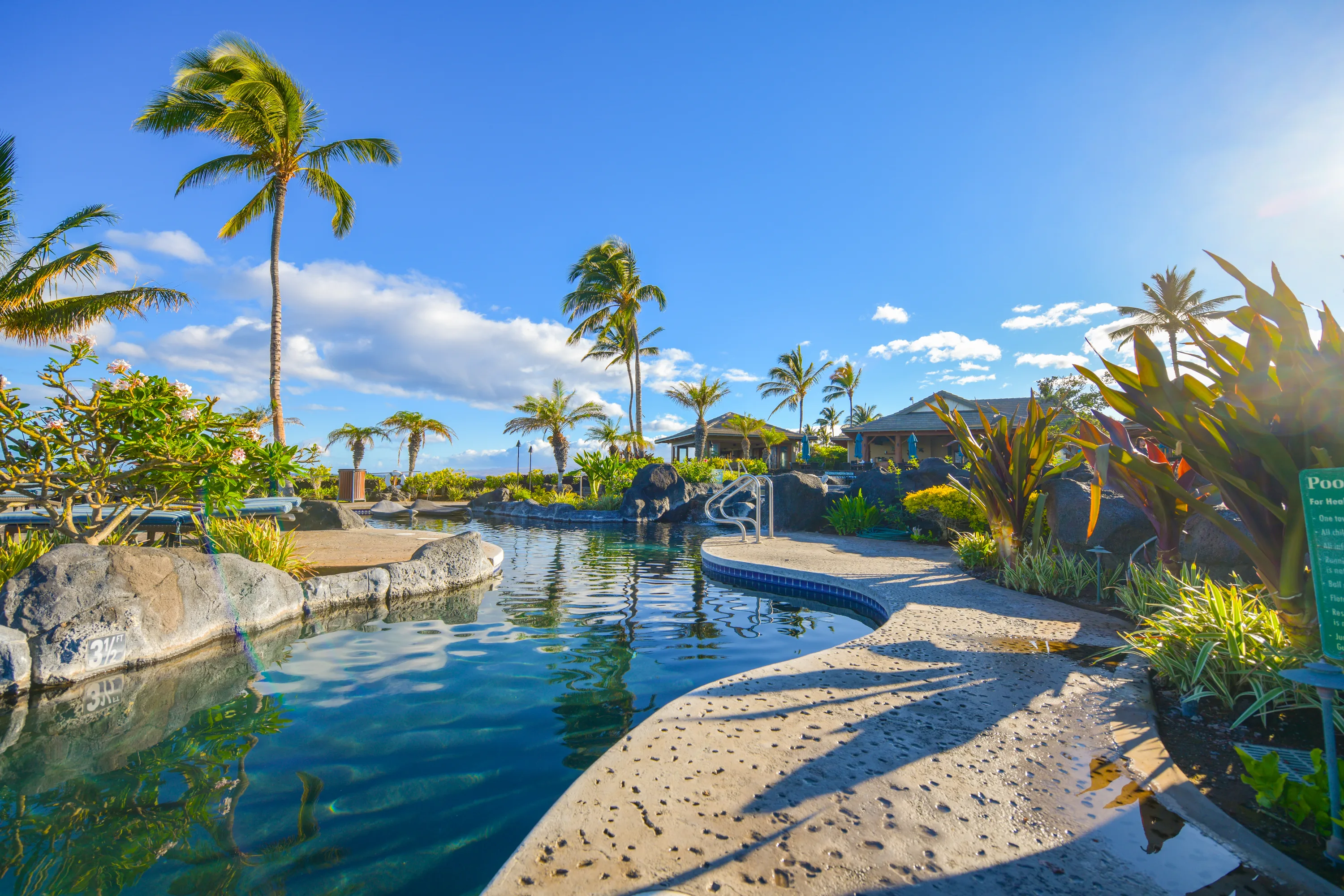 The Ocean Club lagoon pool framed by palms at Hali'i Kai