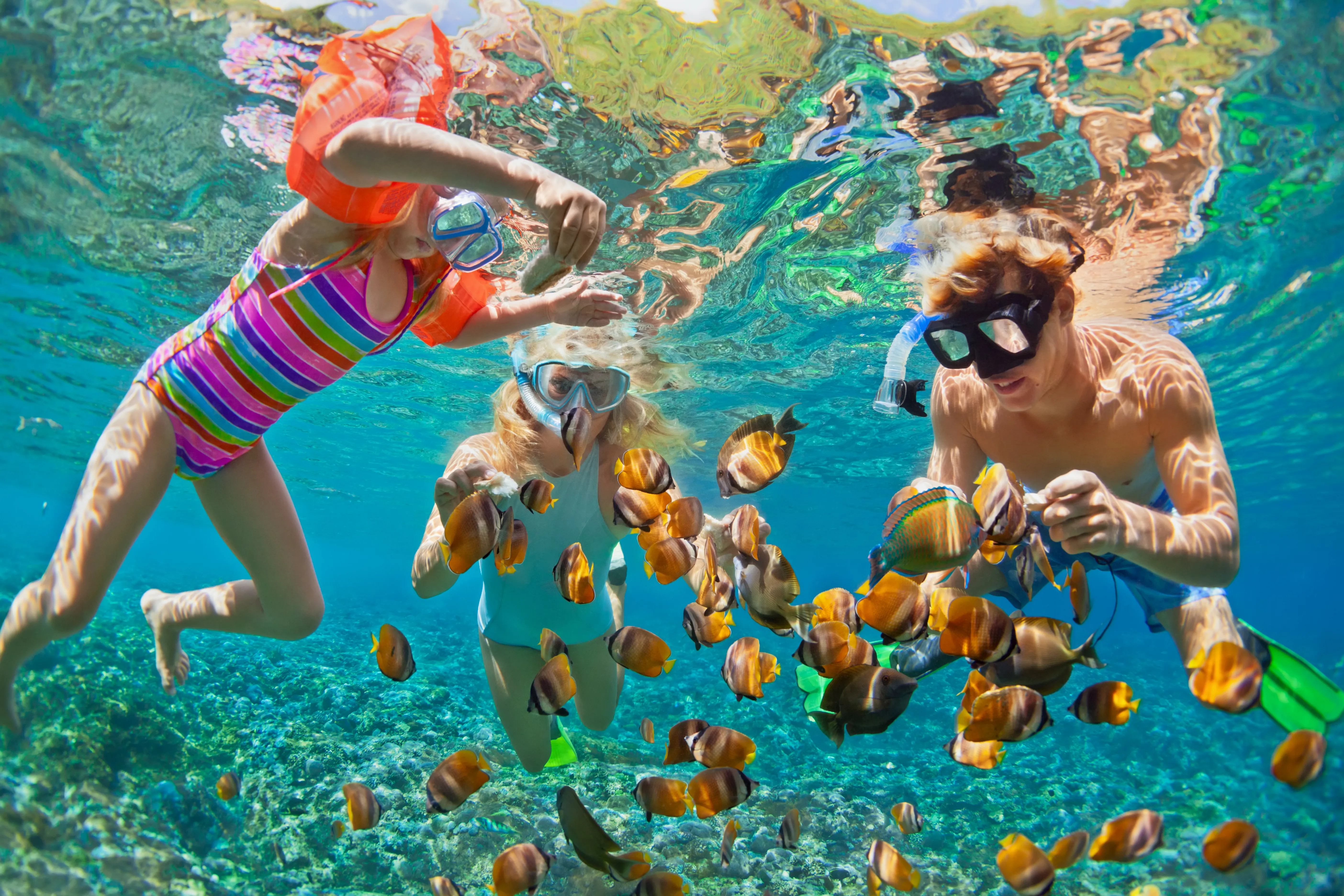 Snorkeling a coral reef off the Kona Coast