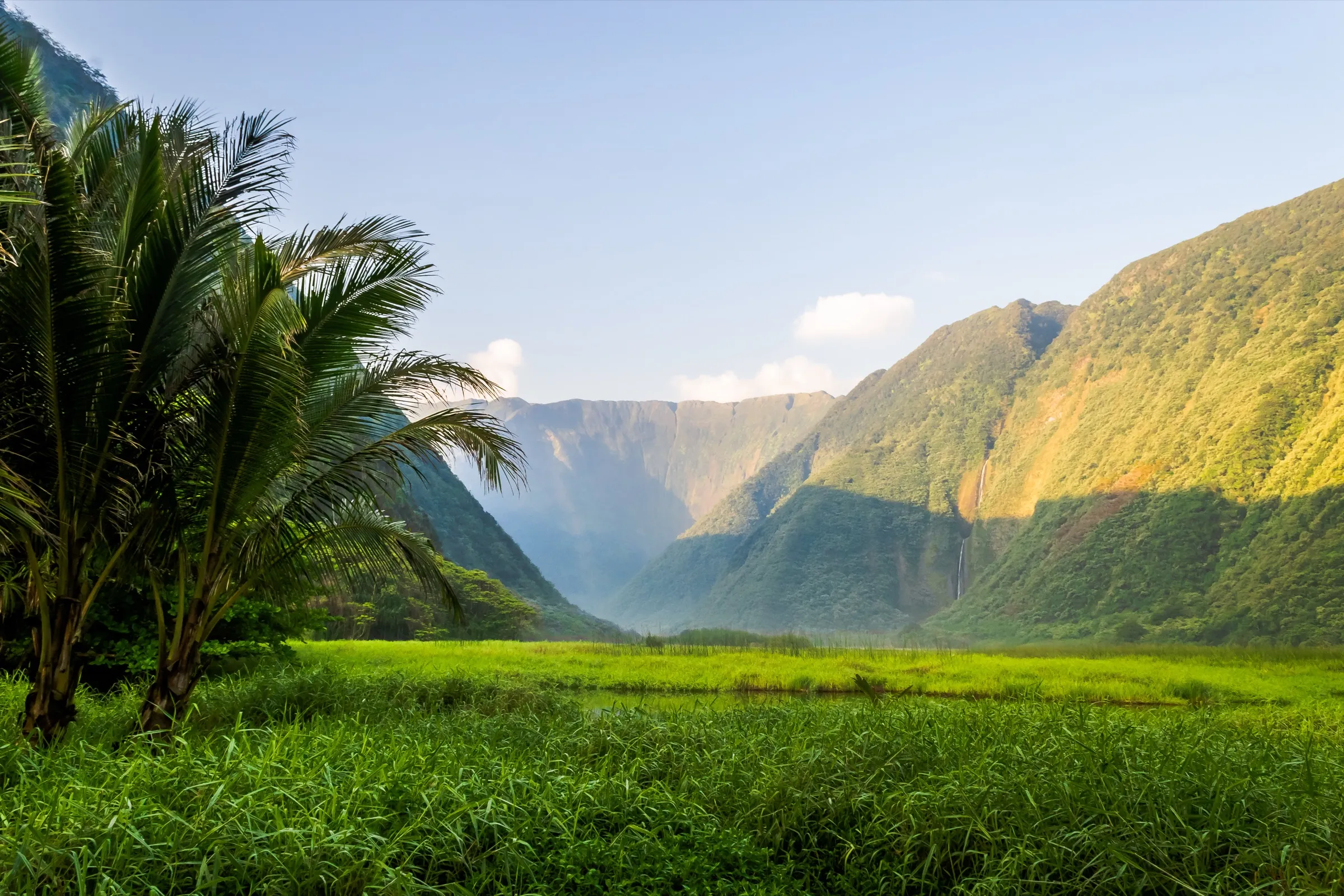 The green cliffs and waterfalls of Waipi'o Valley on the Hamakua Coast